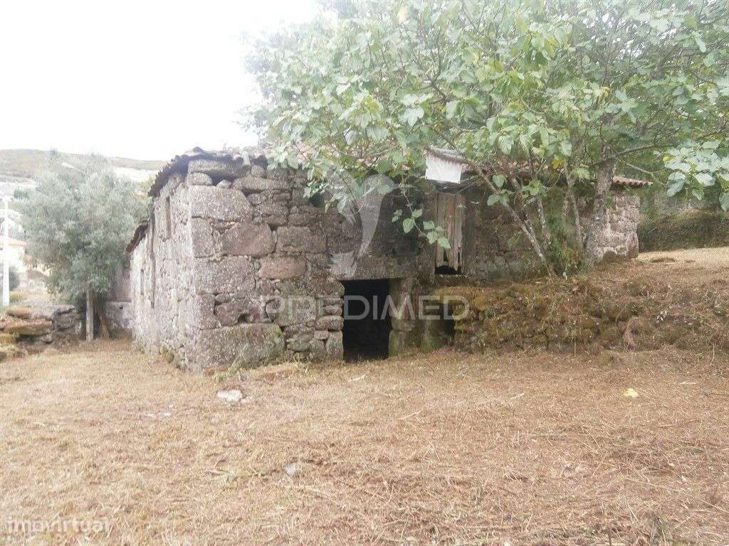 Quintinha com 2 moradias para reconstruir - Grande imagem: 3/14