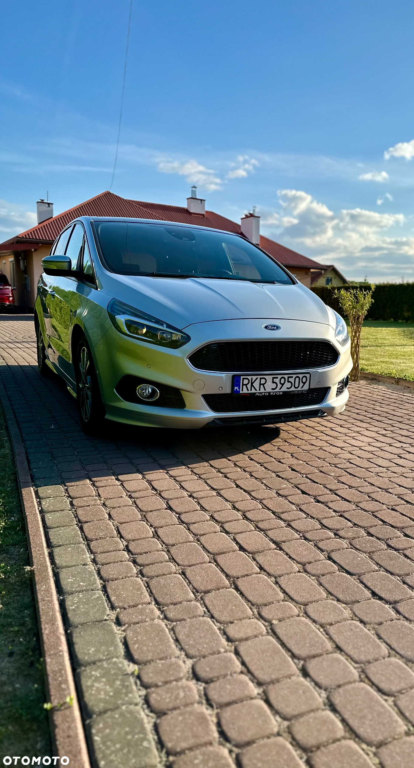 Ford S-Max 2.0 EcoBlue ST-Line - 2