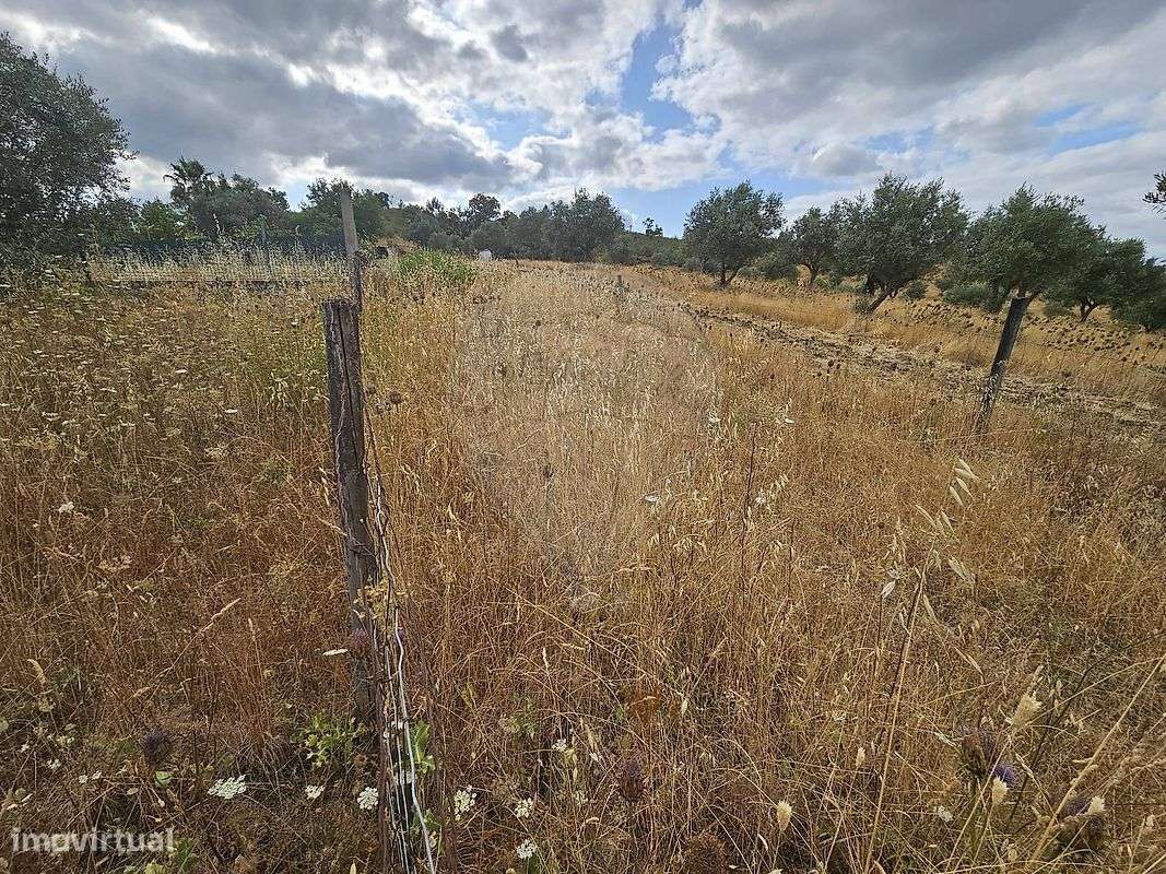 Terreno  para venda-9