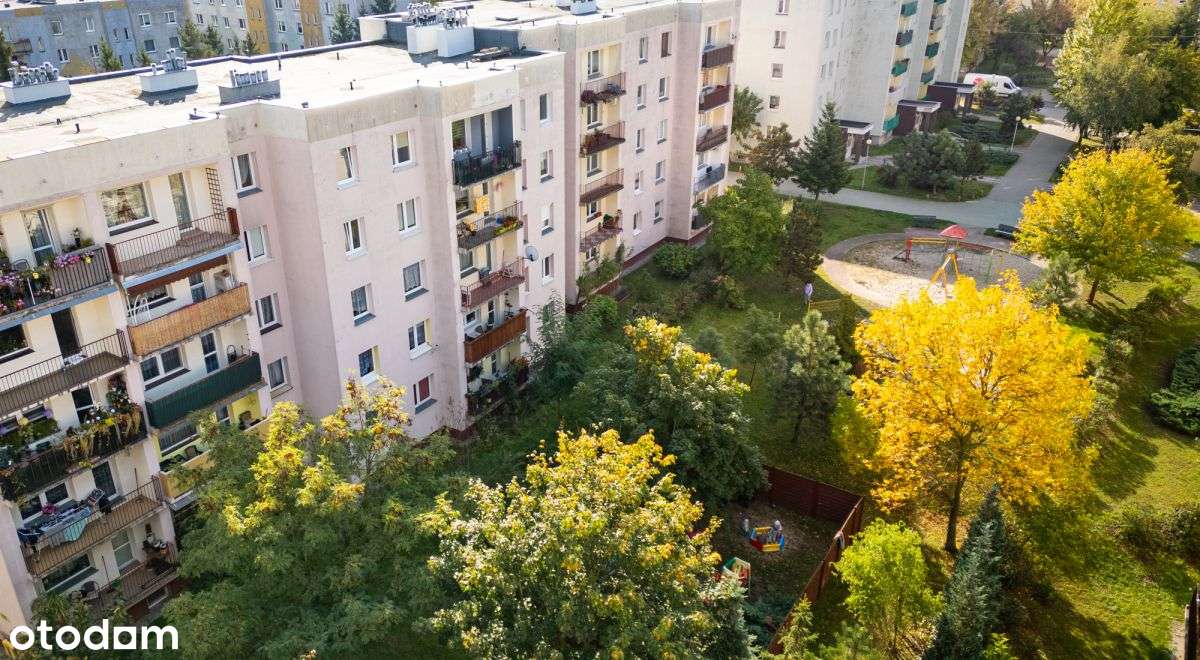 Konstruktorów - 3 pokoje + kuchnia - odświeżone!-14