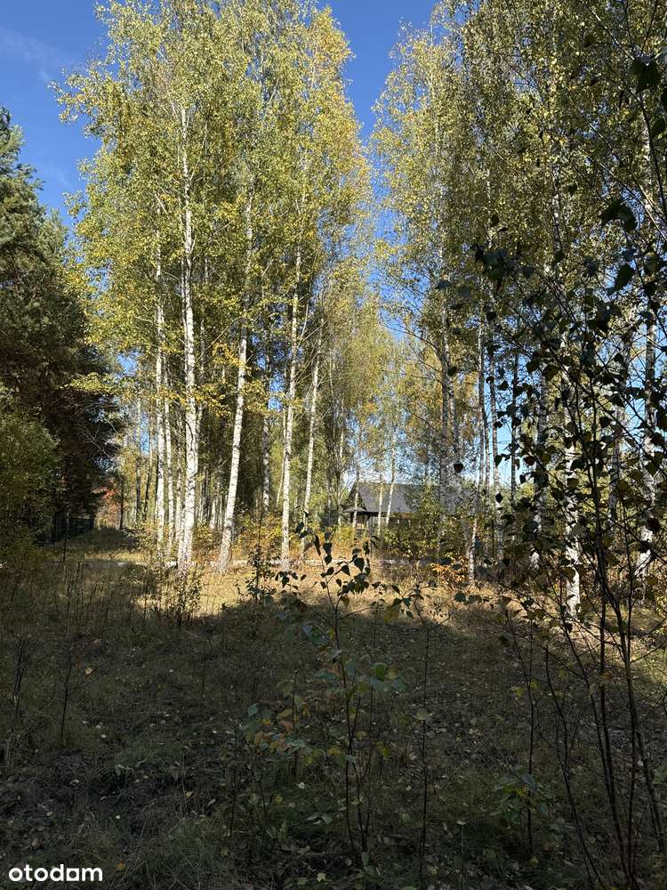 Do Parku Chojnowskiego 400 m, blisko do pociągu-15