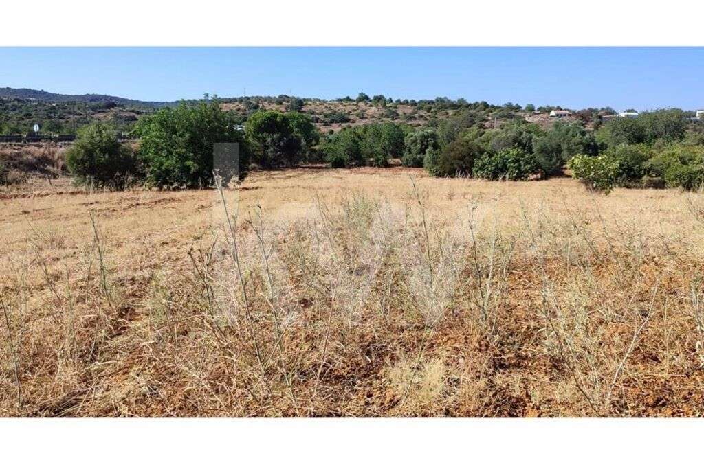 Terreno Rústico Plano de 5.912m2 com Cultura Arvense,  em Arjona - Grande imagem: 3/13