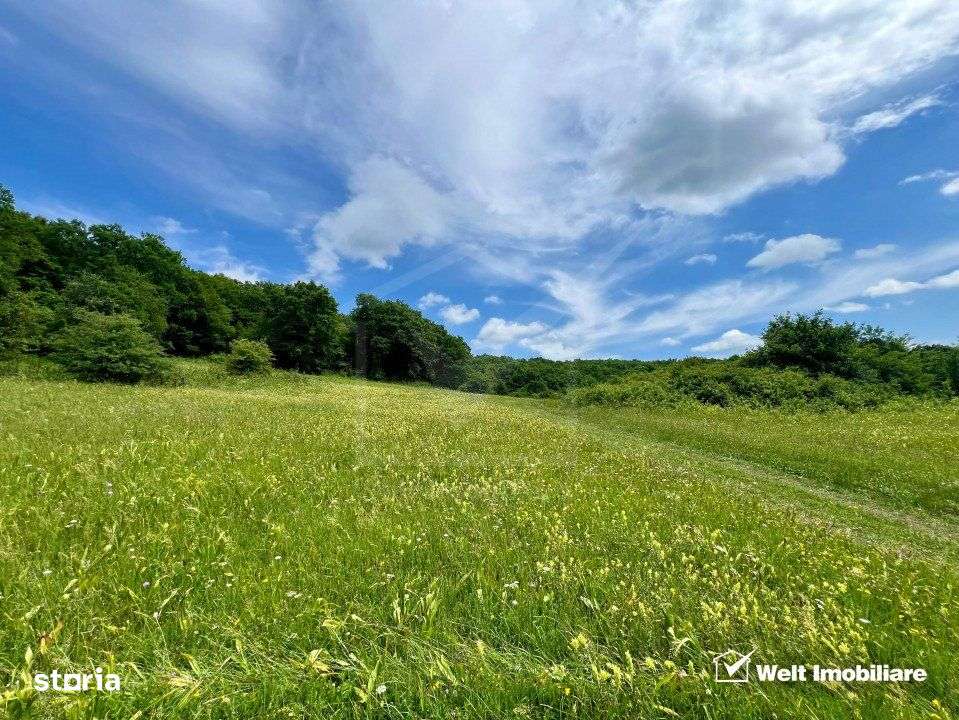 Oportunitate investitie, teren cu panorama pentru cabane - Imagine principală: 5/7