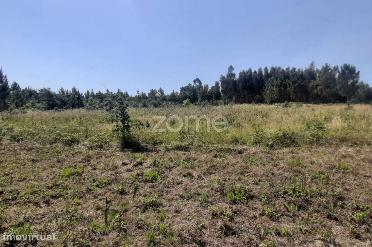Terreno na Freguesia de Soure - Grande imagem: 4/17