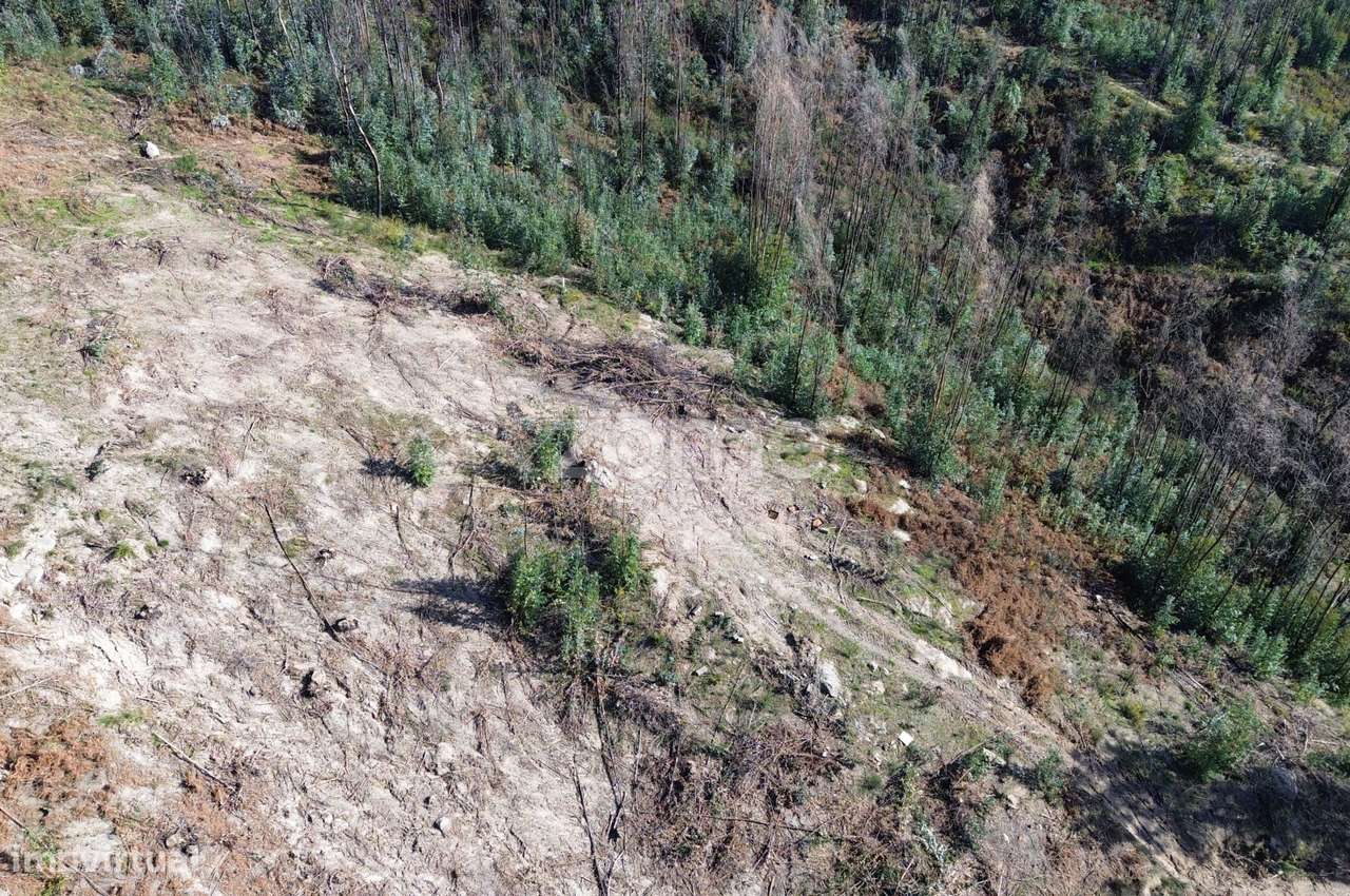 Terreno em MANCELOS | Zona Residencial-8