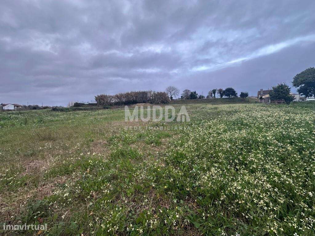 Terreno elevado com vista panorâmica desafogada, a poucos minutos d - Grande imagem: 4/7