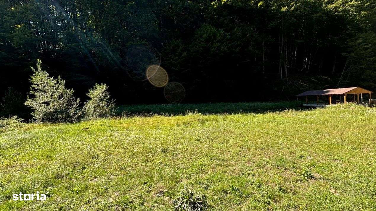 Teren intravilan 4 parcele cu PUZ aprobat, Valea Bratcutei - Imagine principală: 3/9