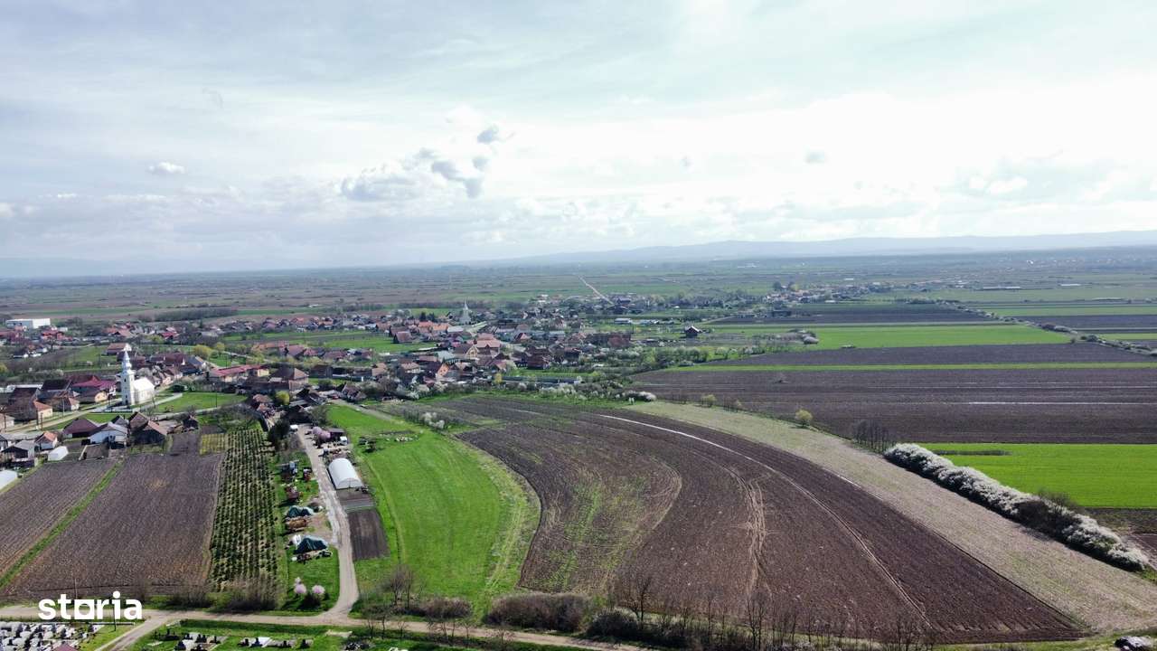 Teren intravilan 729 mp-11