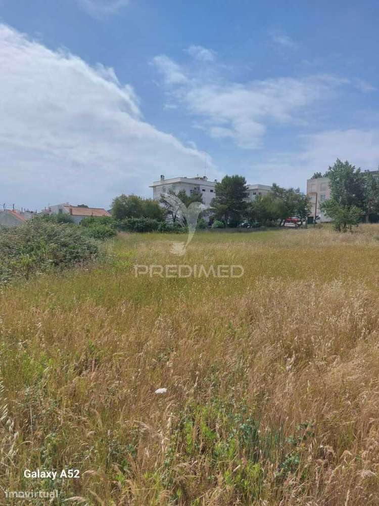 Terrenho Urbano - Grande imagem: 4/11