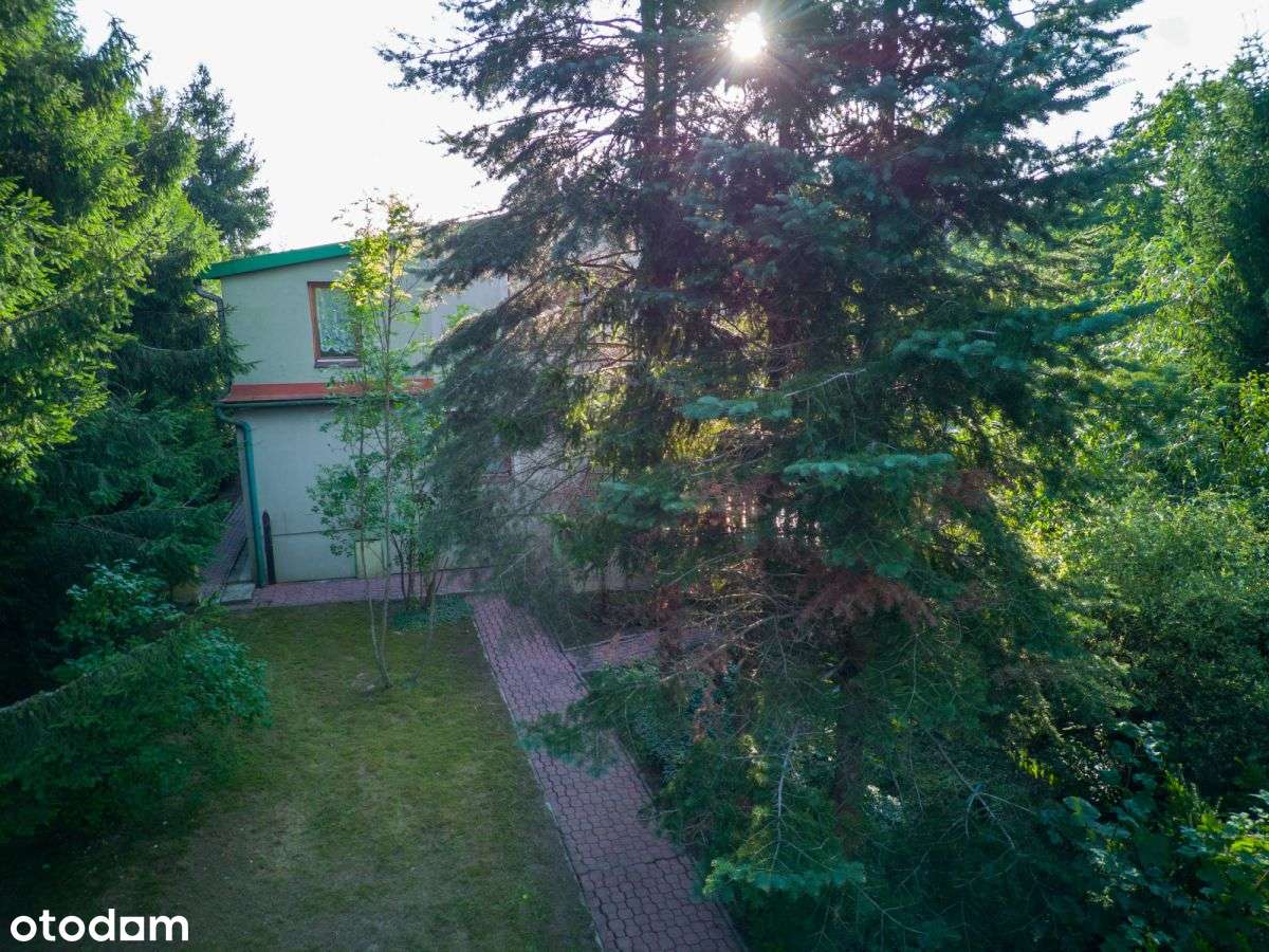 Duży dom z dużą działką, z potencjałem - Pełny obrazek: 5/20