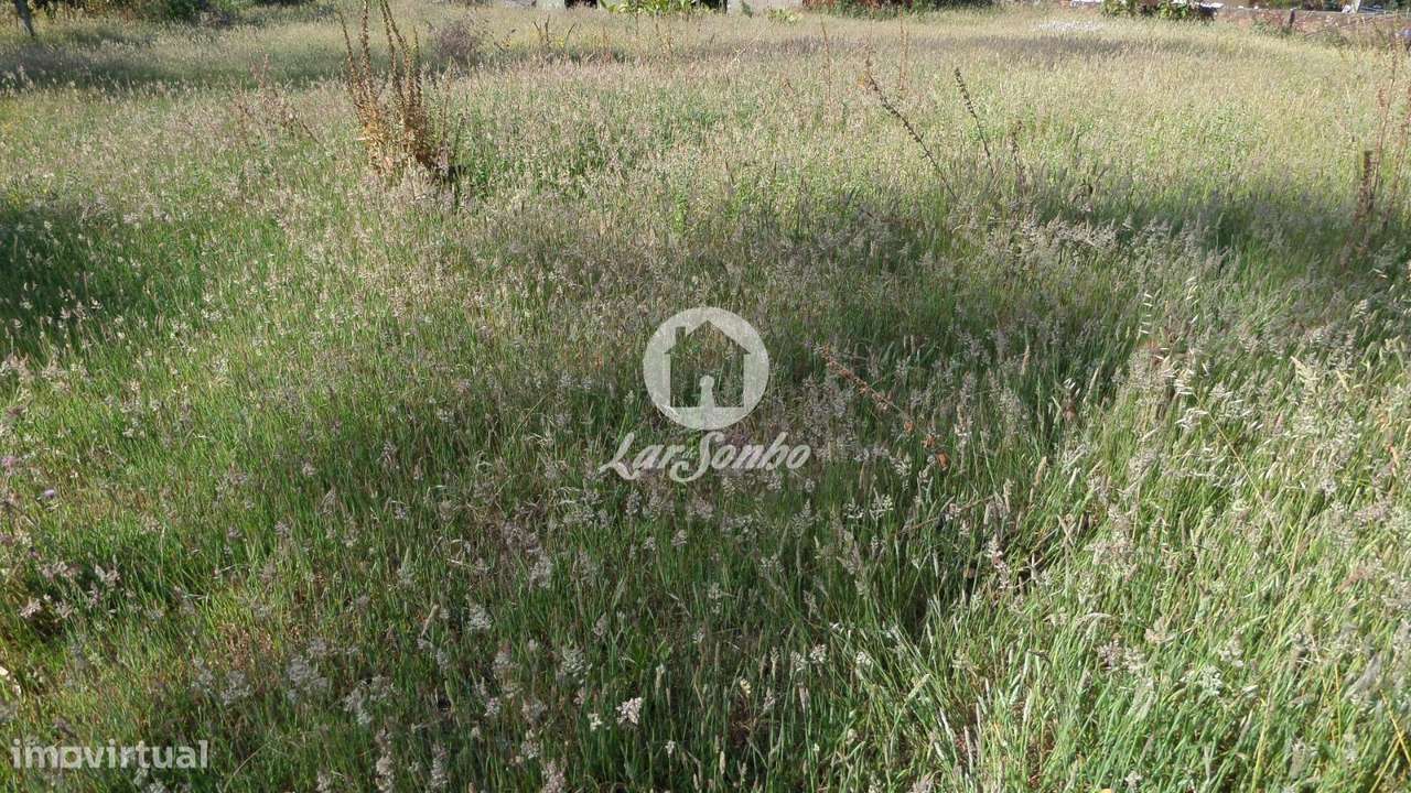 Terreno Laúndos com Vista Mar - Grande imagem: 3/6