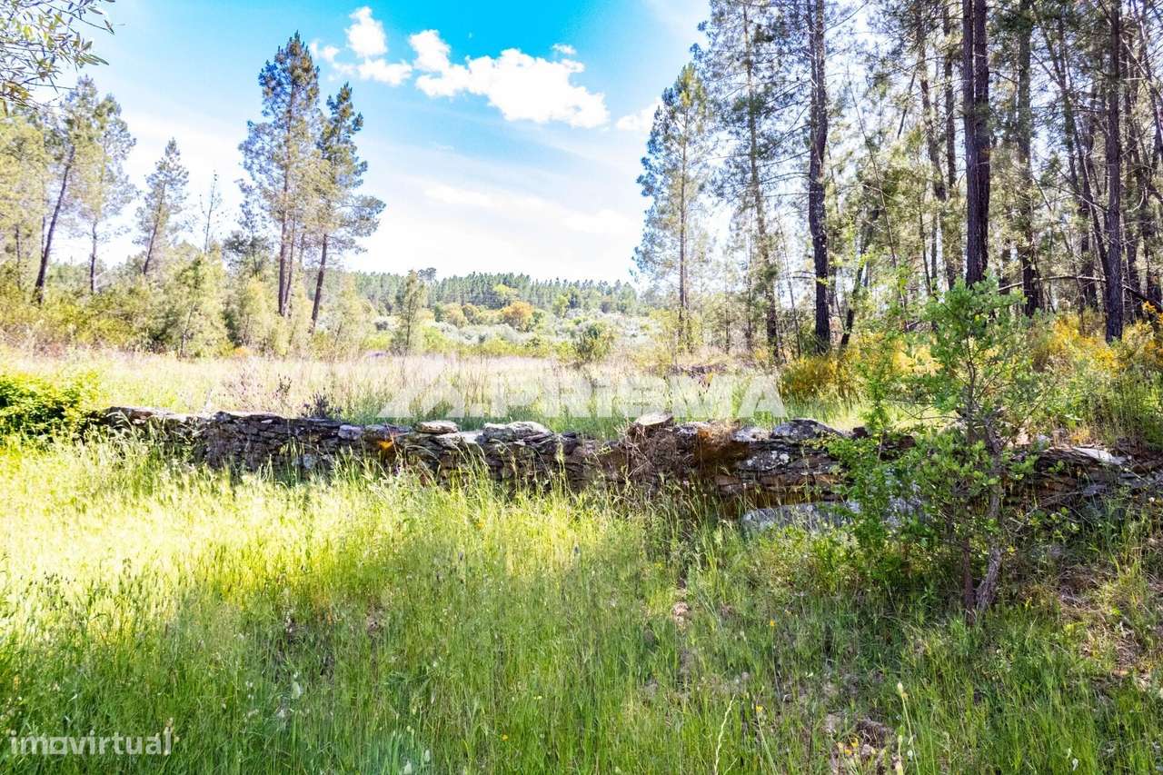 Terreno rústico para venda em Santo André das Tojeiras, Castelo Branco - Grande imagem: 5/30