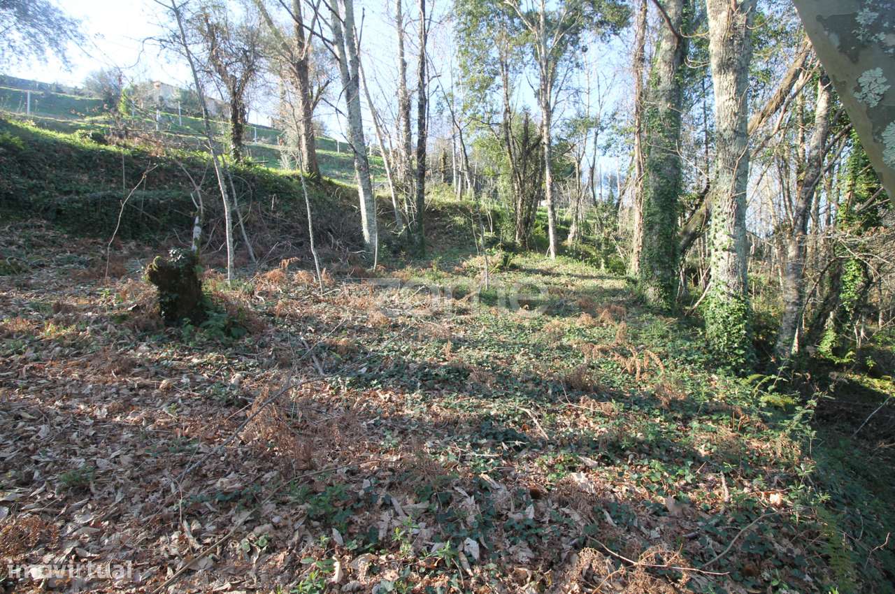 Terreno c/ Eira grande e Alpendre em pedra em Cabeiras De Basto - Grande imagem: 4/20