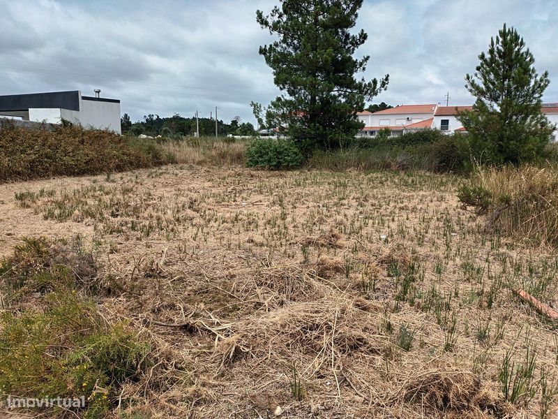 Vendo 2 terrenos urbanos com ligação entre si - Grande imagem: 1/6