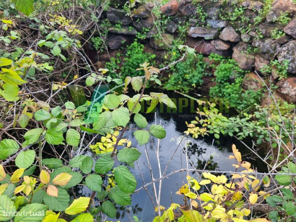 Terreno Rústico Plano com Fácil Acesso em São Bartolomeu de Messines - Grande imagem: 2/17