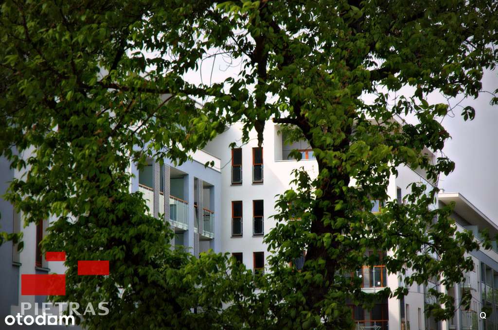 Grunwald  1 p. Heweliusza ładne przy parku-1