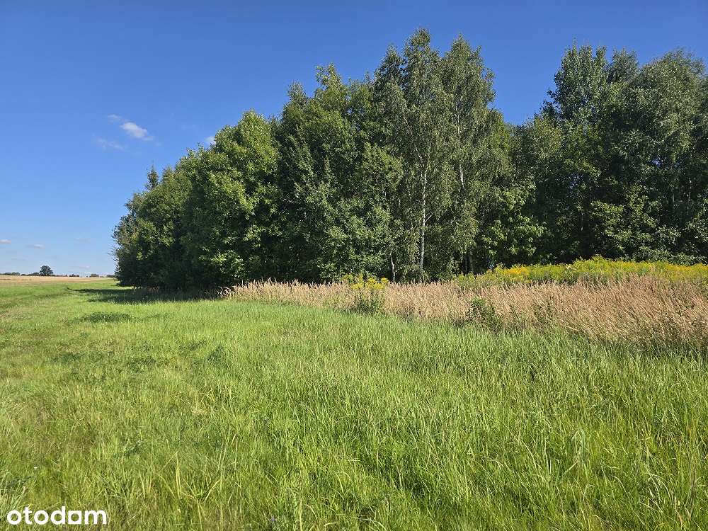 grunty rolne na sprzedaż, Bratków, Gmina Bogatynia-4