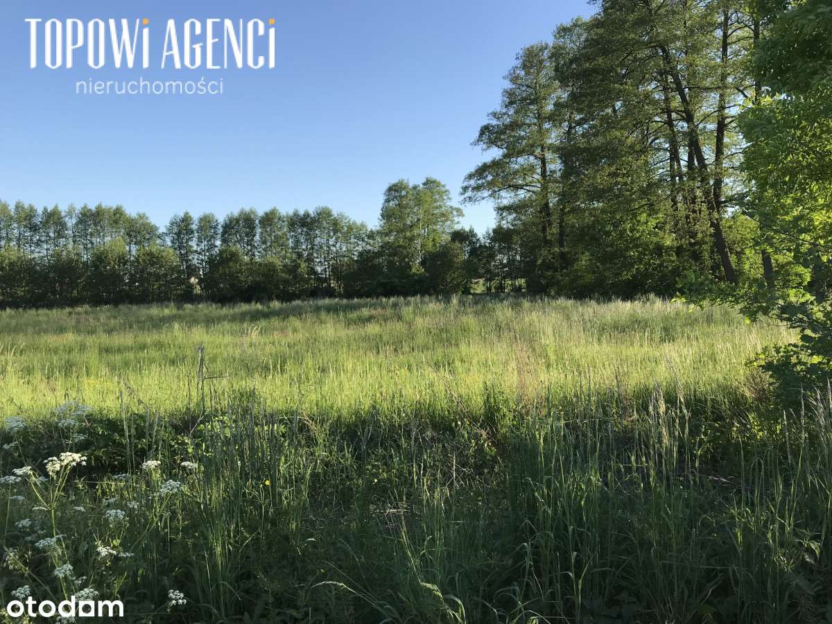 Działka  o pow. 6062 m2 Jasionna  gmina Piątek - Pełny obrazek: 4/6