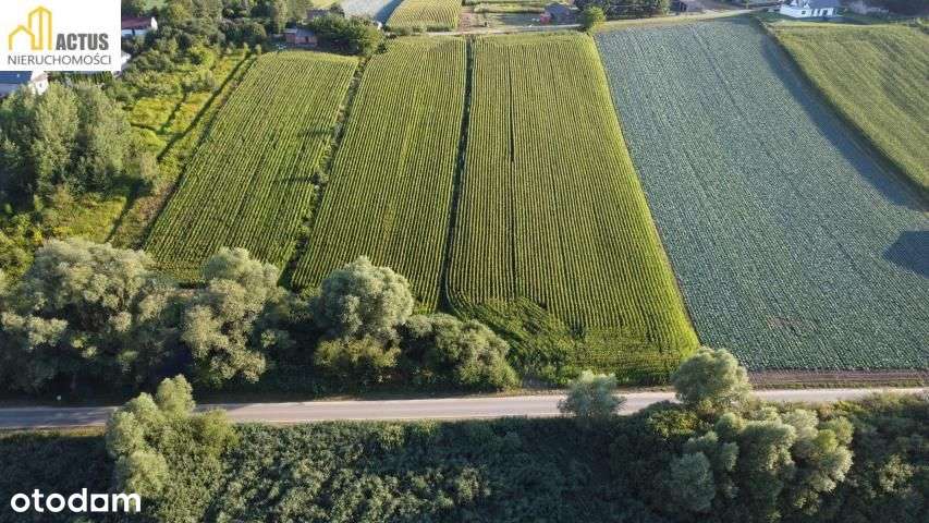 Działka 47 ar Stręgoborzyce-4