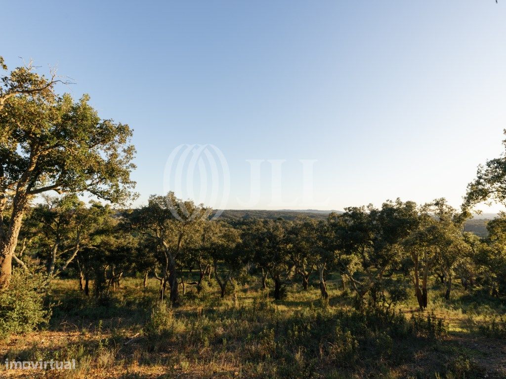 Terreno, com vista Mar e Serra, em Santiago do Cacém - Grande imagem: 1/26