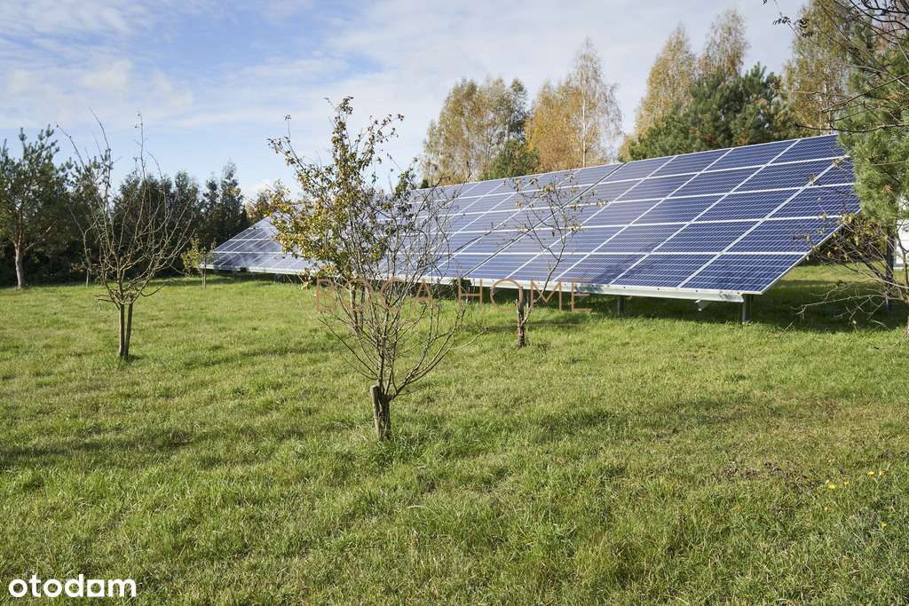 Obiekt na Mazurach z linią brzegową jeziora Roś-11