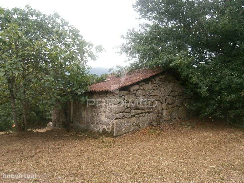 Quintinha com 2 moradias para reconstruir - Grande imagem: 5/14