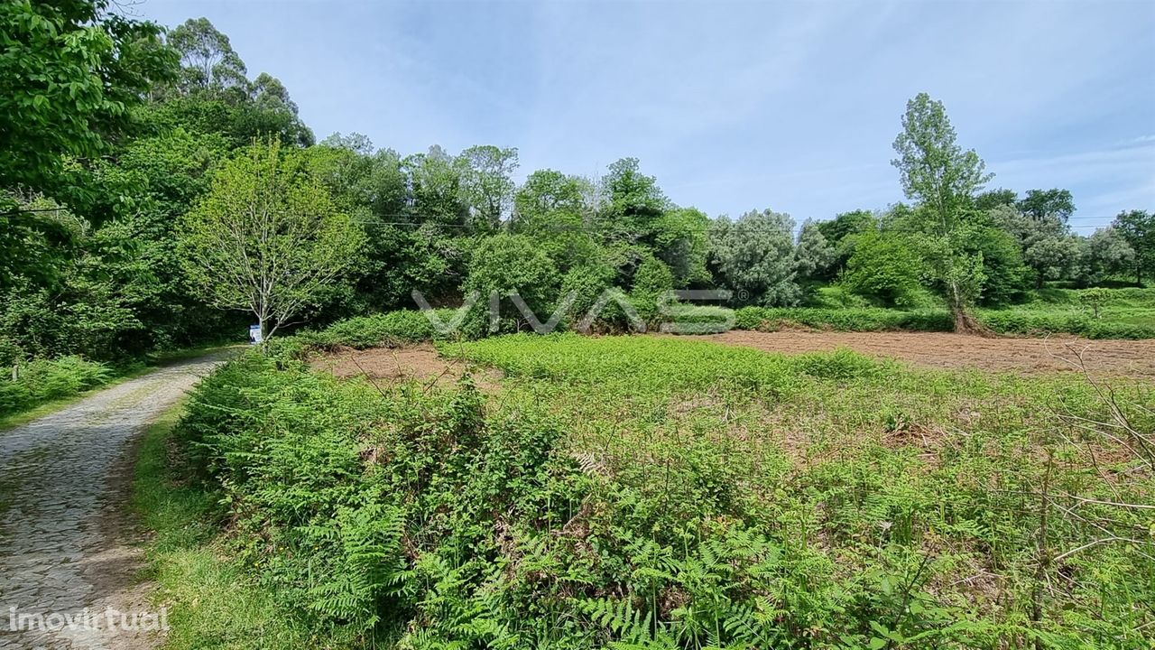 Terreno  Venda em Esqueiros, Nevogilde e Travassós,Vila Verde