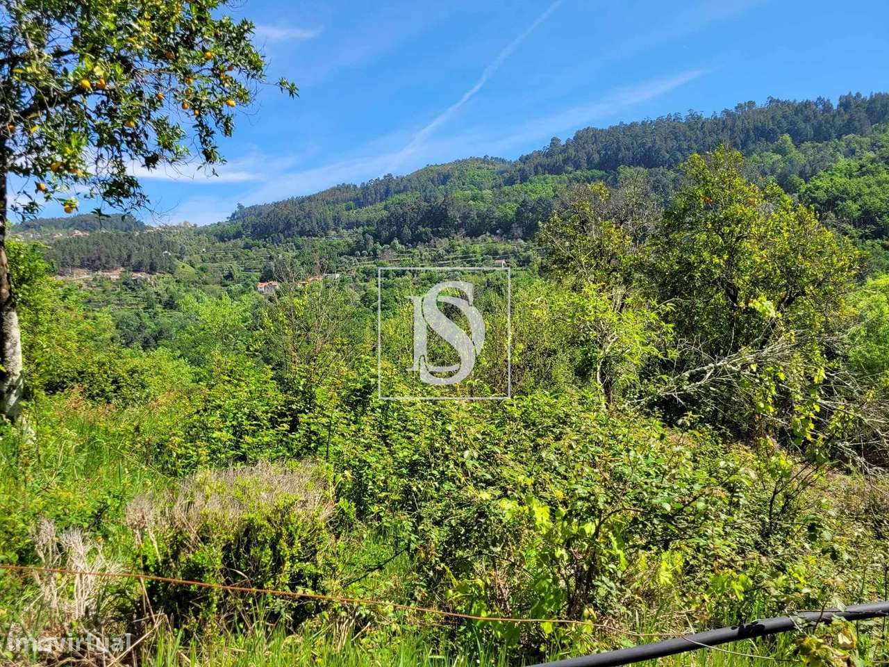 Moradia em Pedra para recuperar na zona de Cinfães. - Grande imagem: 5/9