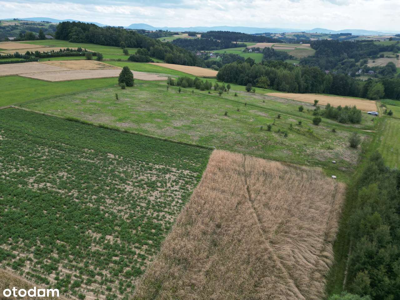 Szukasz działki o wyjątkowych walorach? Ostrusza k/Ciężkowic. - Pełny obrazek: 5/15