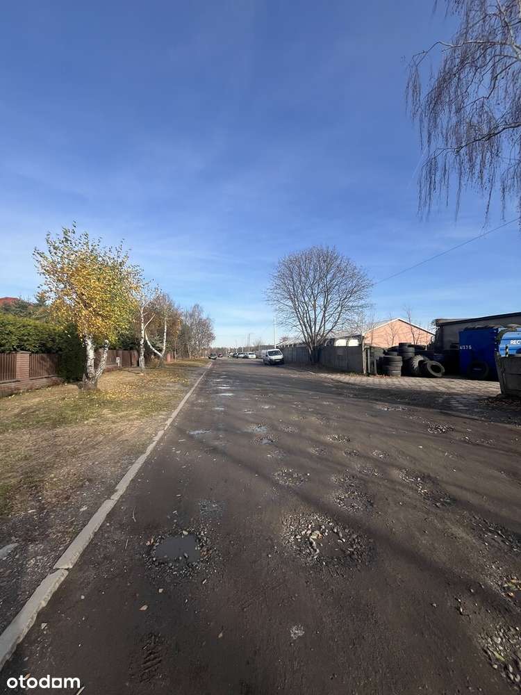 Zgierz – działka z potencjałem i urokiem - Pełny obrazek: 4/5