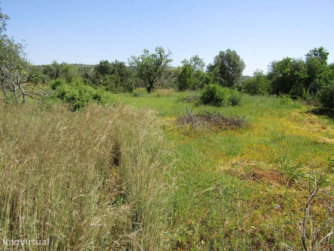 Terreno Rústico em Boliqueime - Grande imagem: 5/6