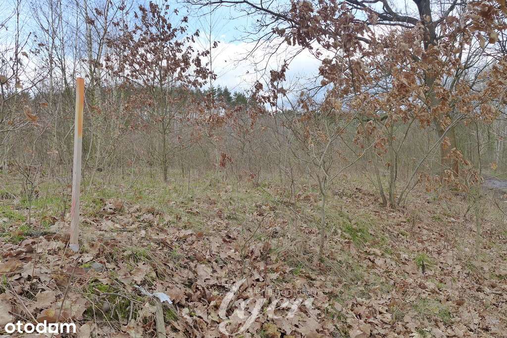 Działka budowlana w Świdnicy - Pełny obrazek: 4/7