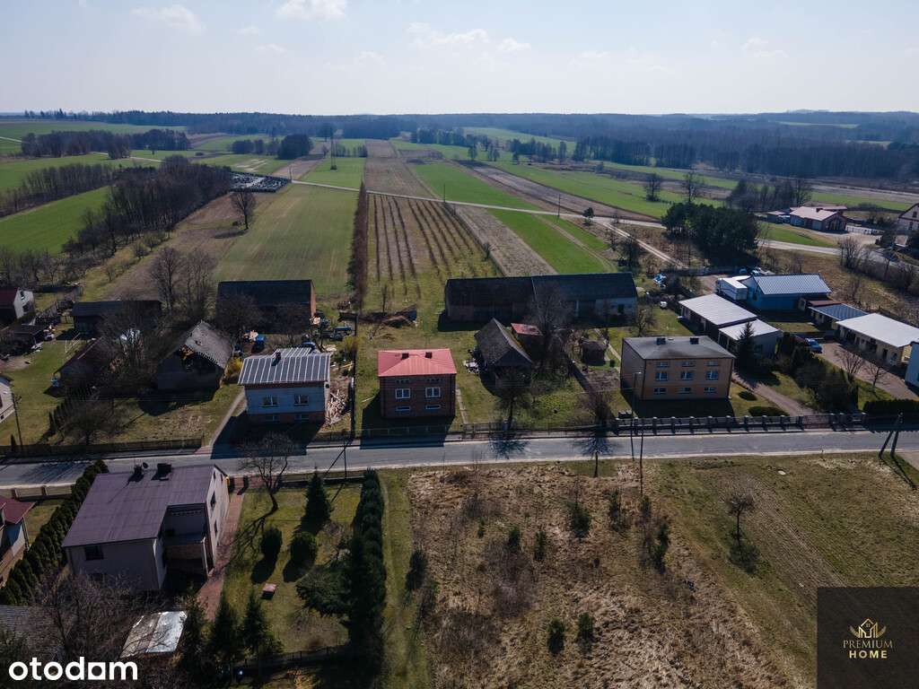 Dom z rozpoczętą modernizacją i plantacją borówek - Pełny obrazek: 5/9