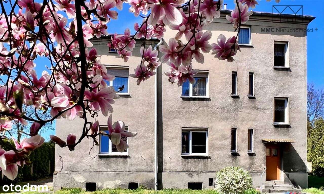 Parter Willi ul. 11 Listopada Lubliniec-19