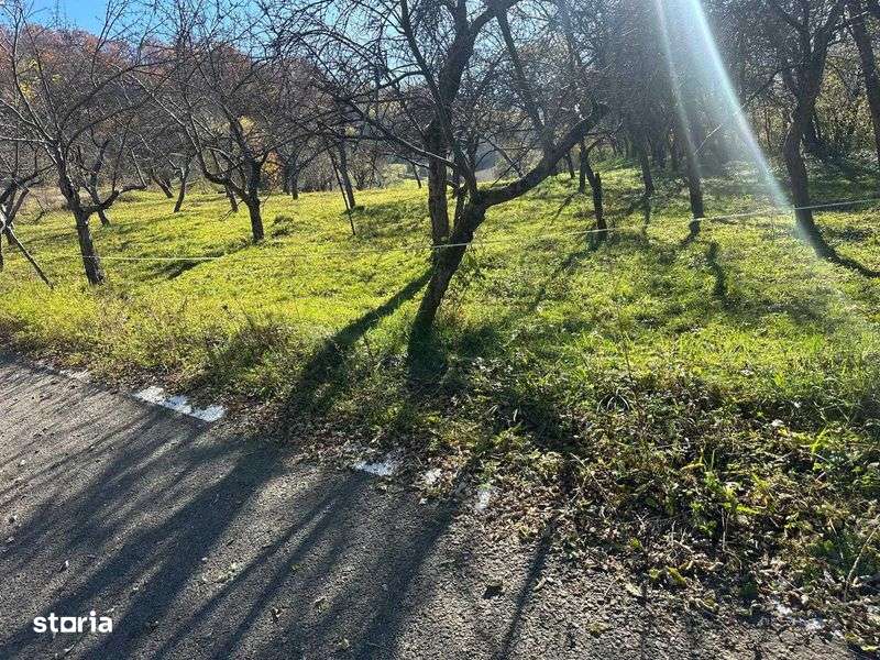 Vand teren extravilan in comuna cosbuc - Imagine principală: 4/8