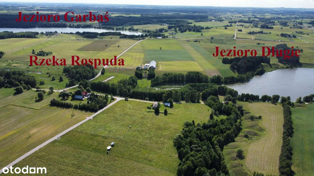 Filipów - działka koło jeziora - Pełny obrazek: 4/14