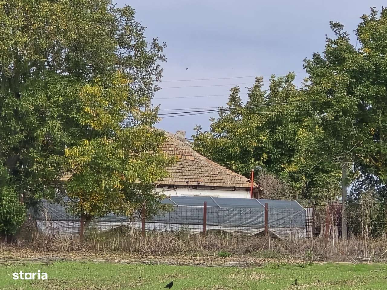 Comuna Amzacea- sat G.Scărișoreanu -Fermă zootehnică ,  teren 5,1ha - Imagine principală: 4/14