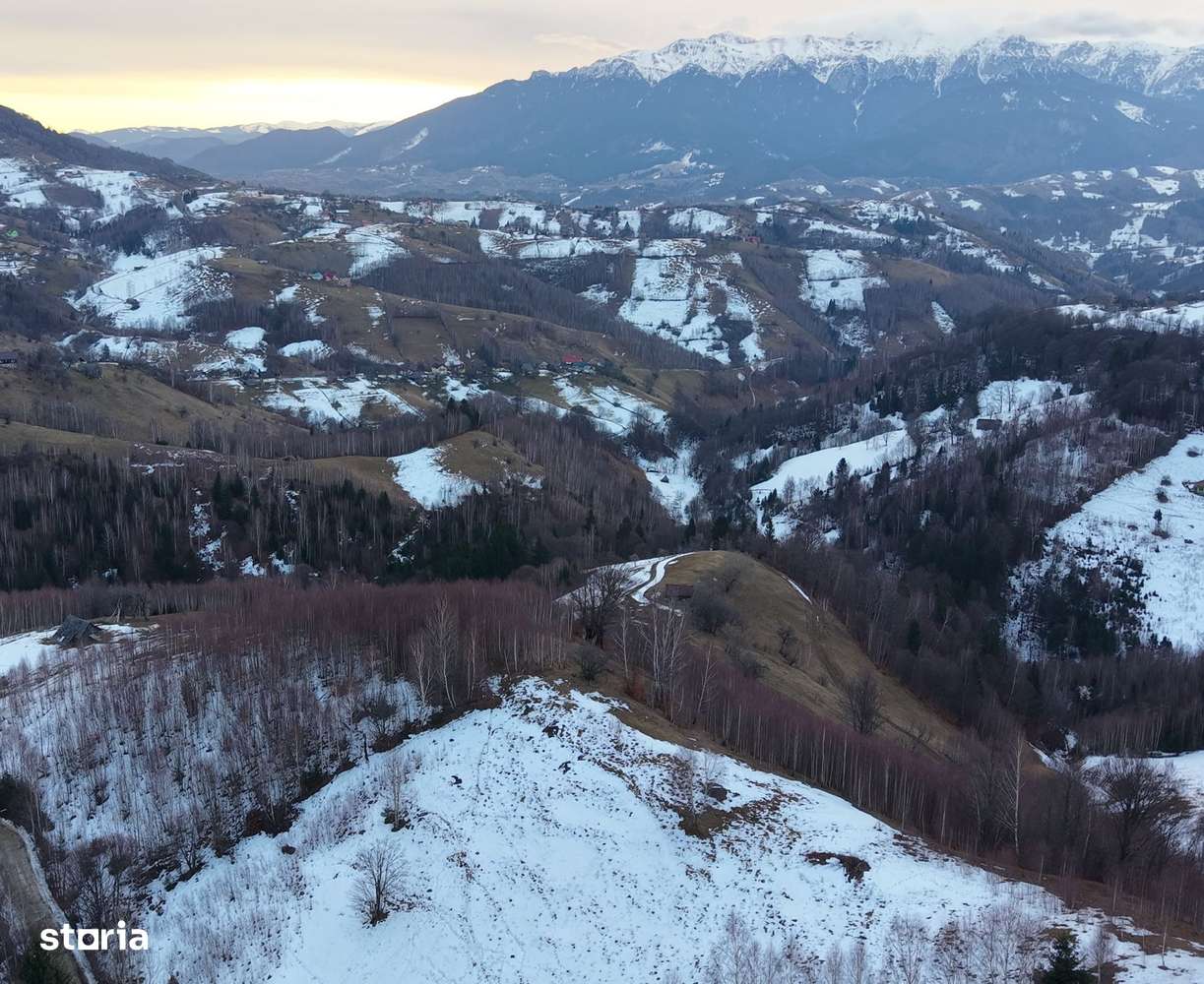 Teren de vânzare – Peștera Măgura Moeciu - Imagine principală: 4/7