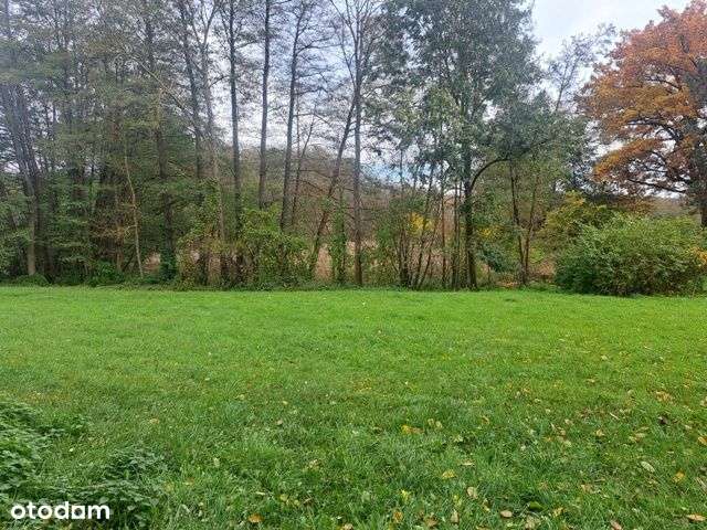 Działki rolne w ok Stęszewa/Tomice/nr 130 i nr 237/ul Szkolna-2