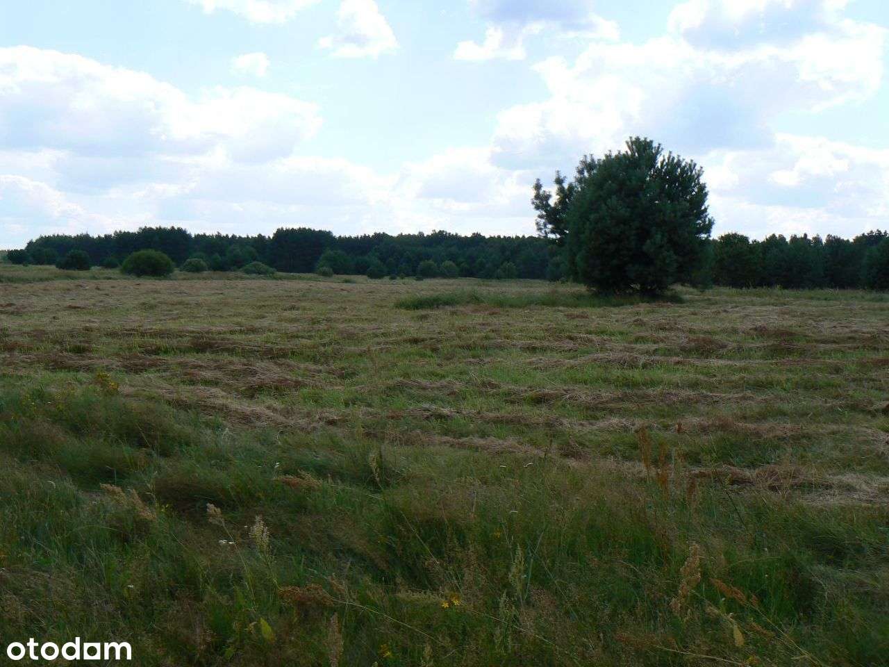 Działki budowlane w Malerzowie - woda, prąd - Pełny obrazek: 4/20