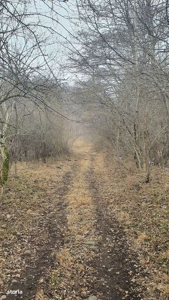 Teren Stana de Vale Sovata - Telek Patakmajor - Imagine principală: 4/17