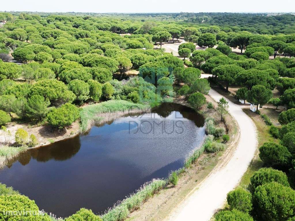 Lote de Terreno de 33.300m2, com lagoa, na Mata do Duque 1, Santo E...-28