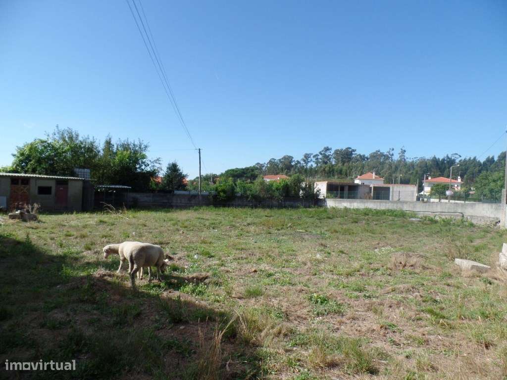 Terreno em Landim - Grande imagem: 3/10