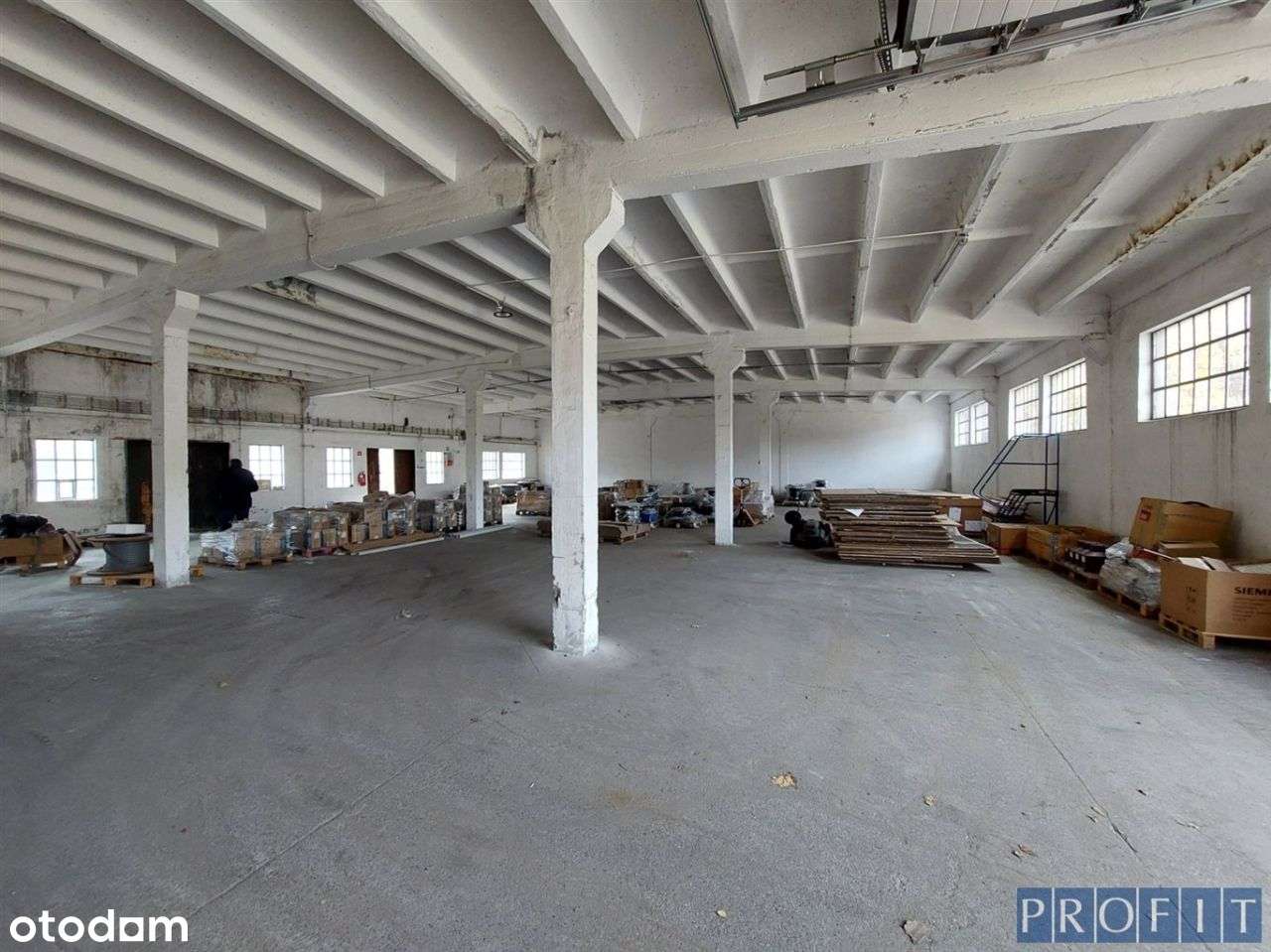 Hala 423m2 | poziom 0 - Pełny obrazek: 2/4