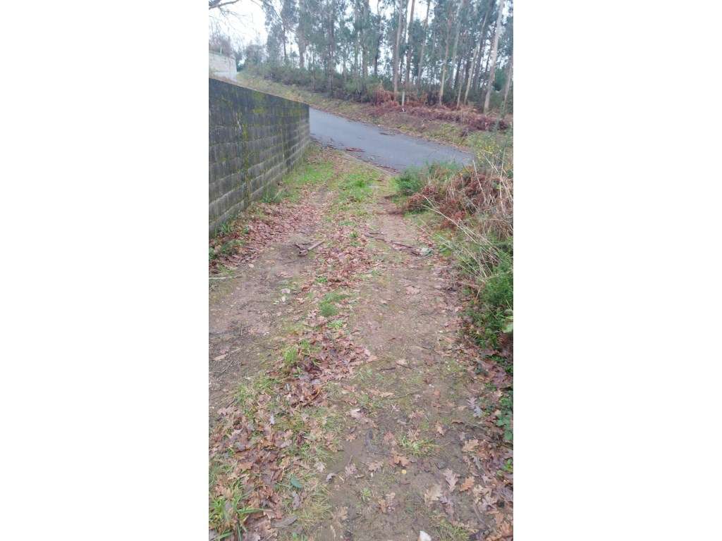 Terreno - Ganfei, Valença - Grande imagem: 4/10