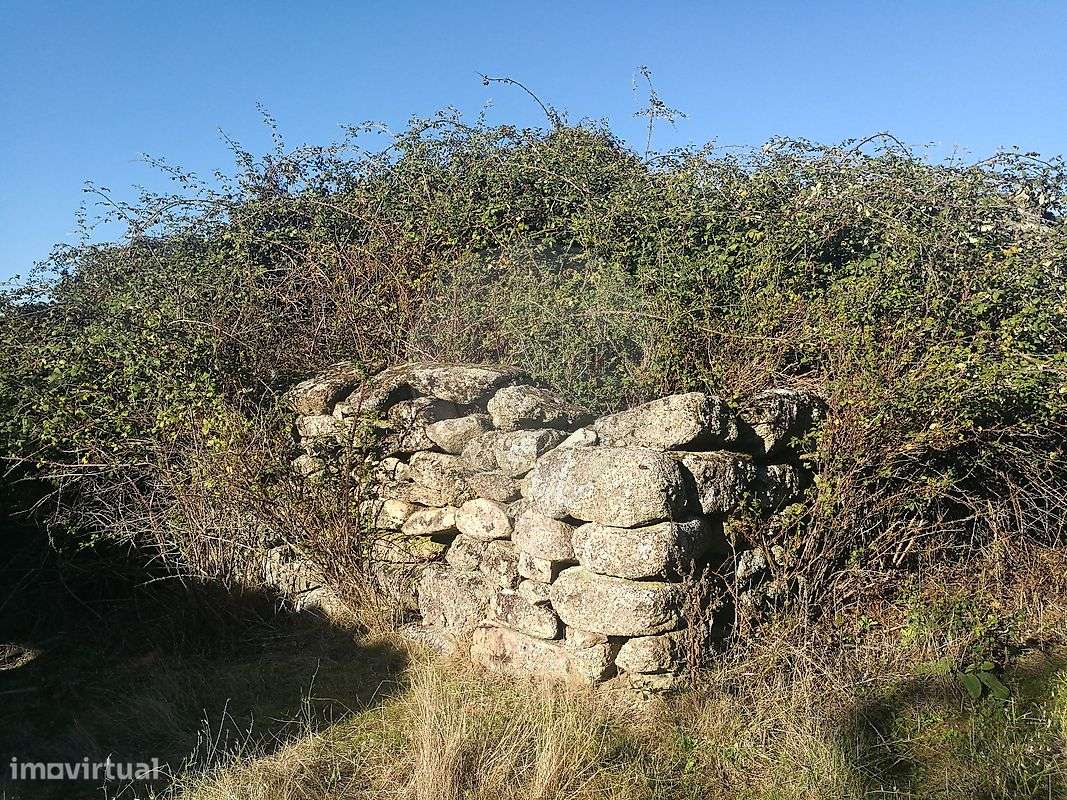 Quinta  para venda - Grande imagem: 4/8