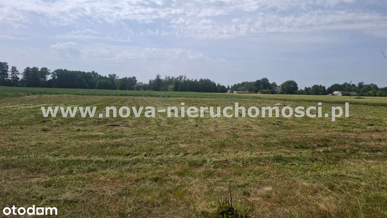 Dom Malanowo Stare-8