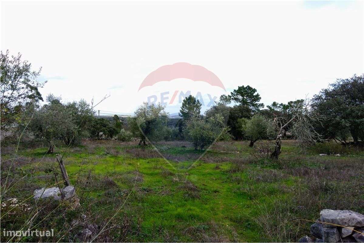 Terreno  para venda - Grande imagem: 5/10