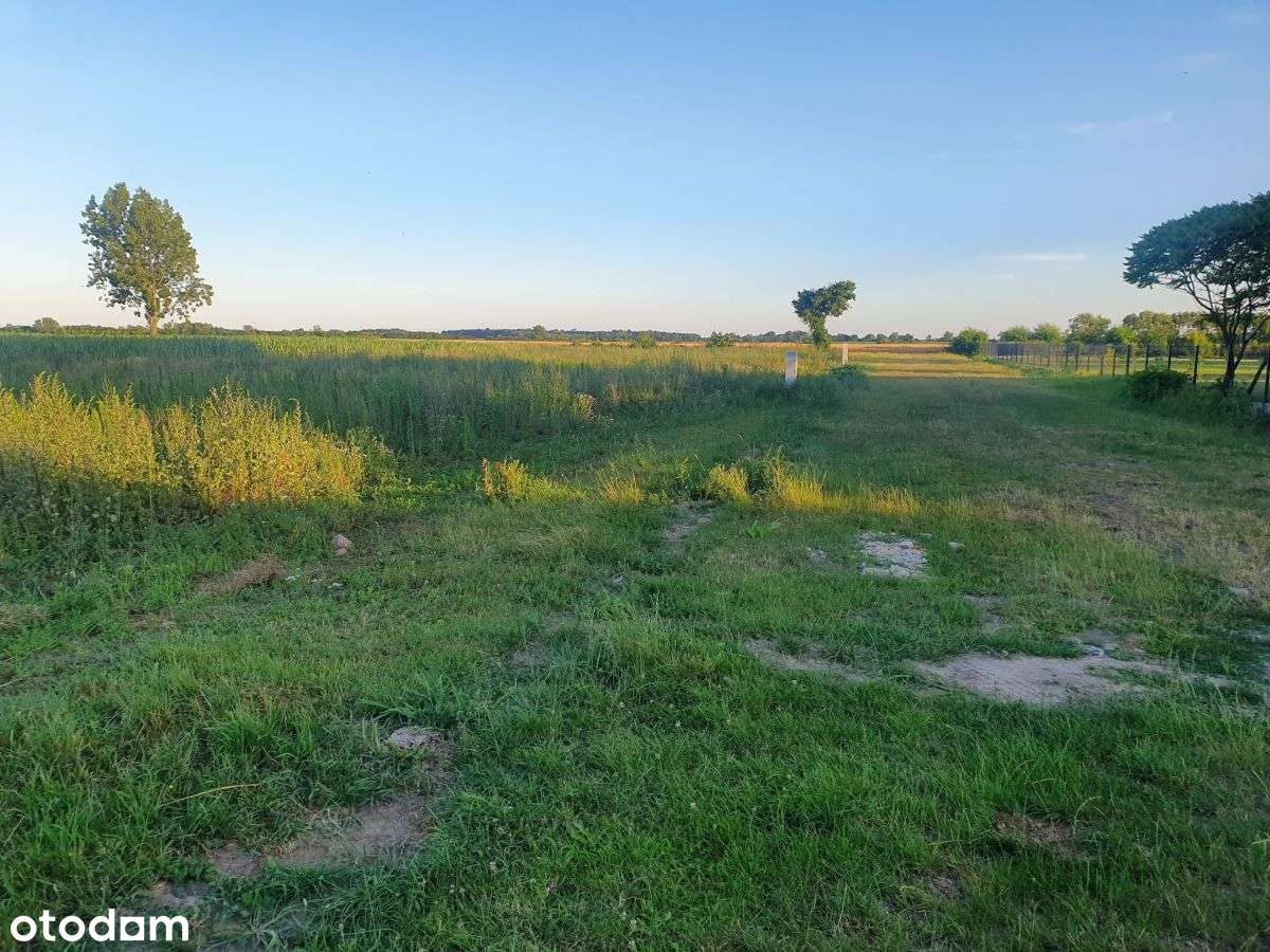 Goniczki k/Wrześni działka budowlana-5