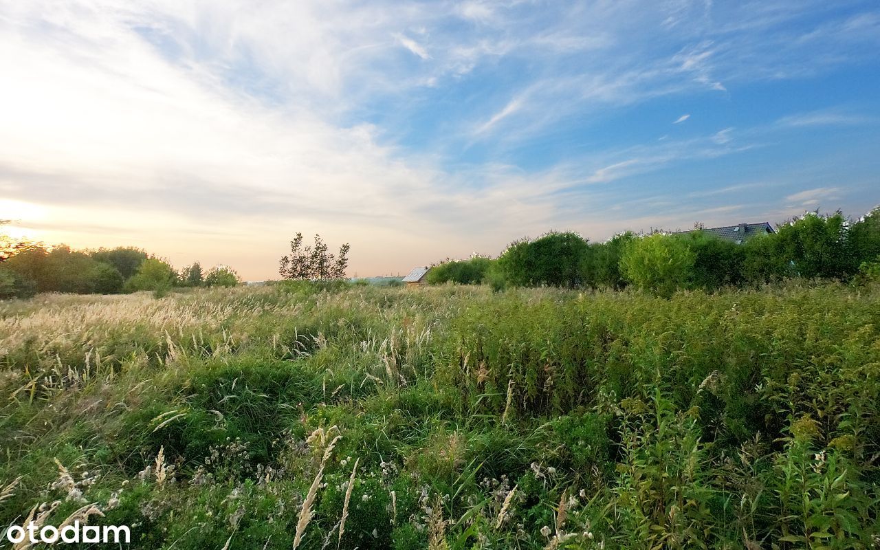 Działki dla inwestora, Częstochowa 1,89ha